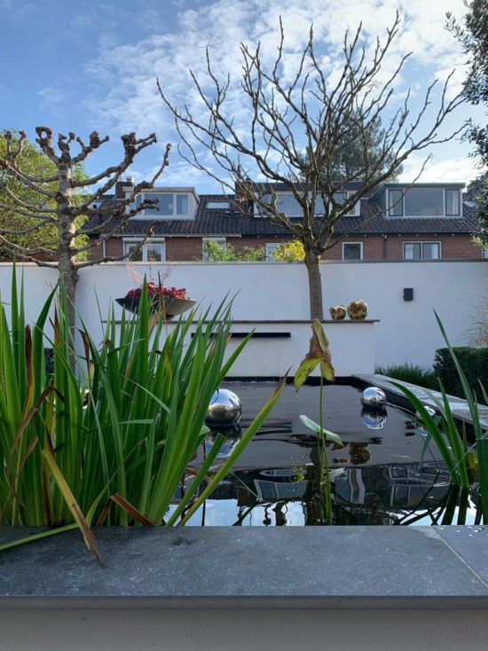 vijvertuin3 vijvertuin3